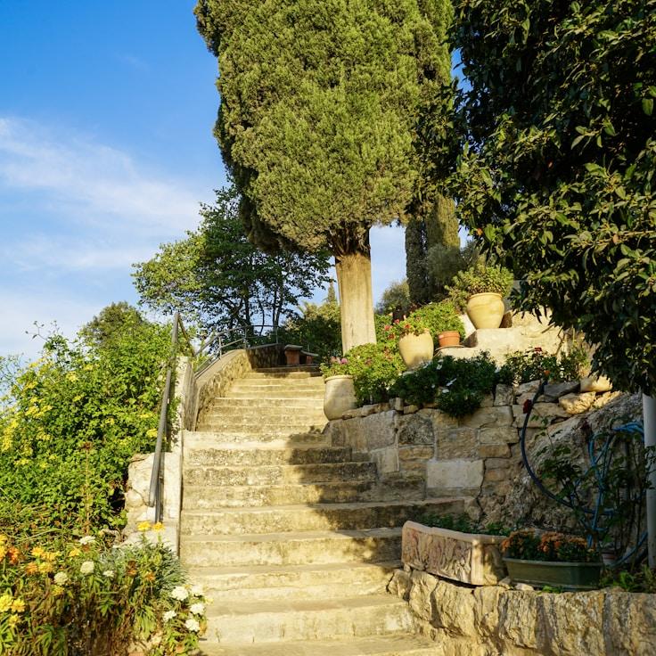 Family terraces and cafés for calm evenings in Zurich